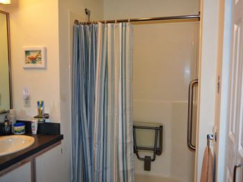 Shower handrails